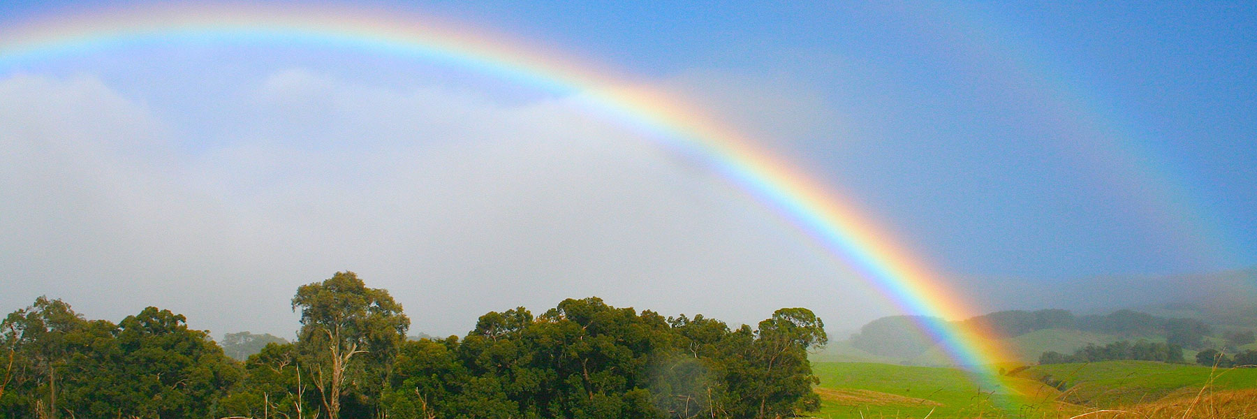 hawaii-rainbow